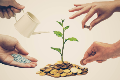Local vs Federal Loans for Beauty Salons: Which Works Best?