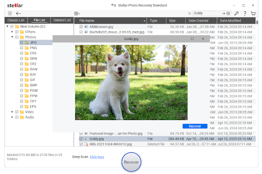 Top 8 Photo Recovery Software in 2026: Best Tools to Recover Deleted Photos